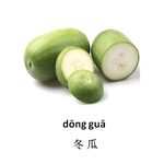 冬瓜