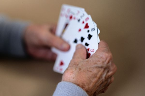 play cards